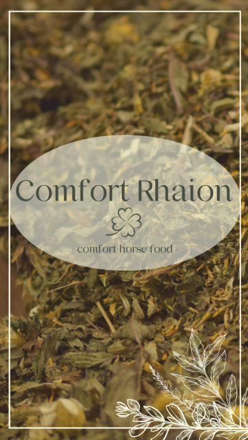 Comfort rhaion pl
