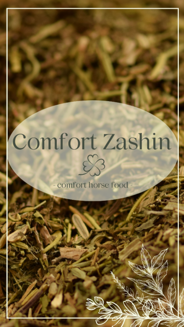 Comfort zashin pl